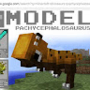 Meet your Posher, Bridget